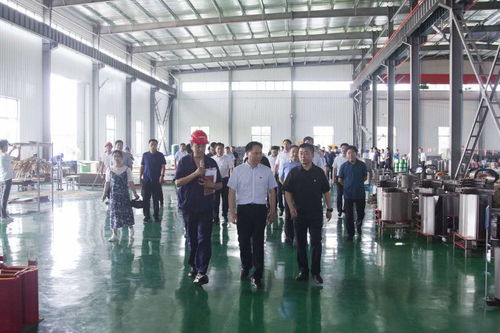 县领导到古邳镇开展 3d 高质量发展现场观摩活动