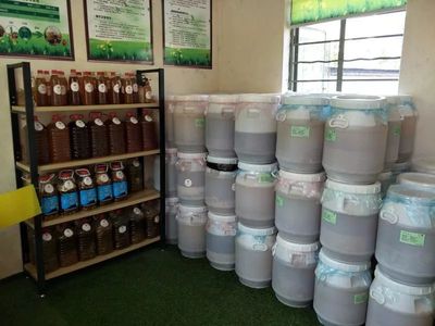桐乡建起38个巾帼环保酵素基地